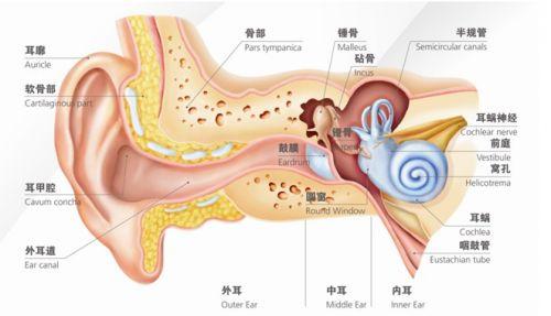 放大器电路-助听器放大器电路原理